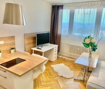 Pronájem bytu 1+kk a garsoniéry 24 m² - Fotografie 3