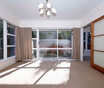 44a Taylor Terrace - Photo 6