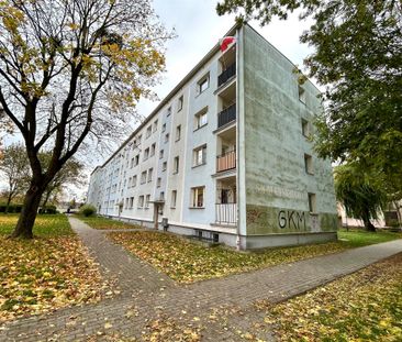 Grudziądz Mieszkanie na wynajem - Фото 6