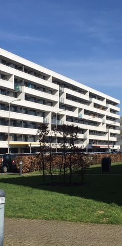 Boksdoornerf, 461 - Foto 2