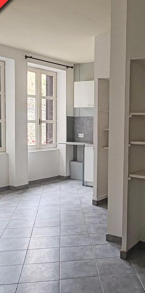 Location Appartement 1 pièce 25m² TOURNUS 71700 - Photo 1