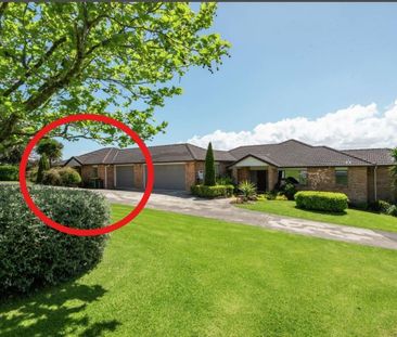 Charming 1-Bedroom Minor Dwelling in Rural Papakura - Photo 4