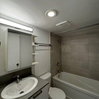 1bd 1bath apartment available for rent - Photo 4