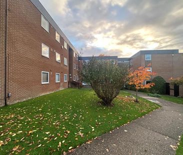 2 bedroom apartment to rent - Photo 6