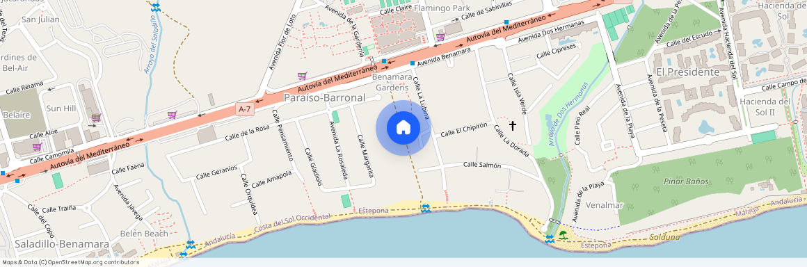 Estepona, Andalusia 29688