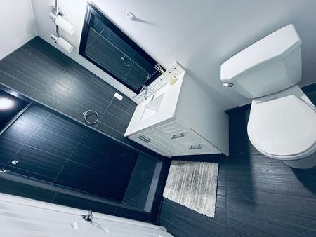 For Lease - 3260 Oakglade Crescent Unit# basement, Mississauga, Ontario - Photo 3