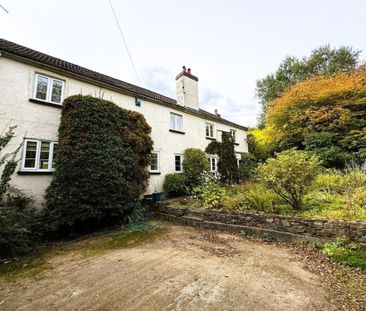 East Holcombe, Shillingford - Photo 6