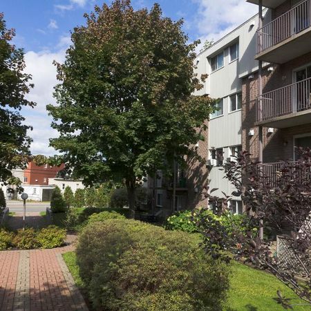 4 1/2 Vanier -ascenseur- proche des commodités- libre immédiatemment - Photo 3