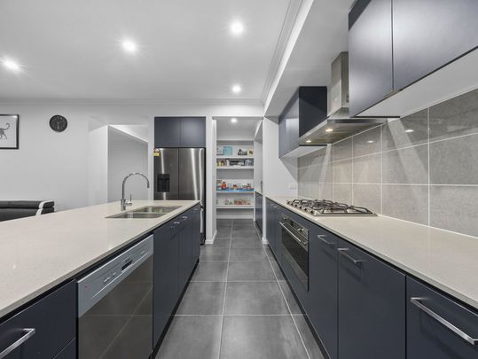 1 Soapberry Circuit, Collingwood Park QLD 4301 - House For Rent - $760 | Domain - Photo 1