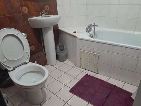 Location Appartement 1 pièce 30m² NANCY 54000 - Photo 2