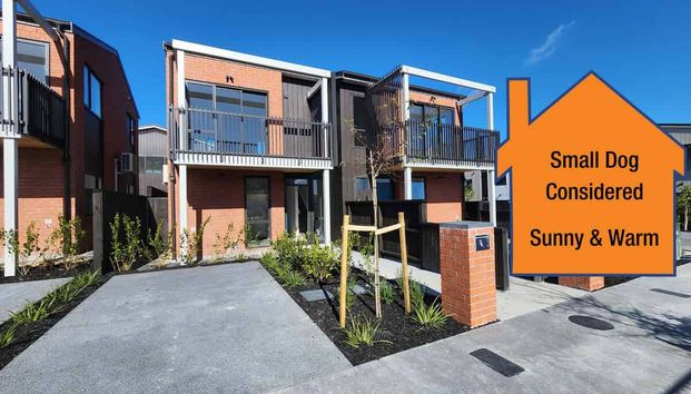 Westgate, 2 bedrooms, $650 - Photo 1