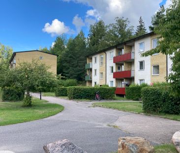 Pionvägen, Gusum - Photo 4