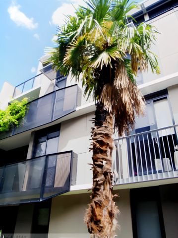 Studio Regular - Photo 2