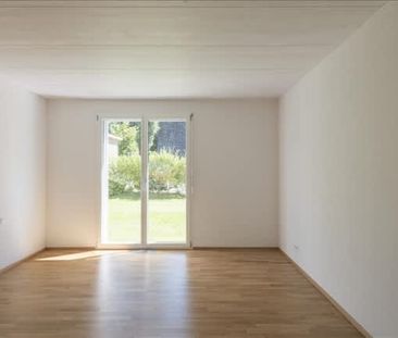 3.5 Zimmer, EG - Photo 5