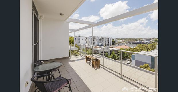 Stylish Corner Apartment with Northern Aspect - Photo 1