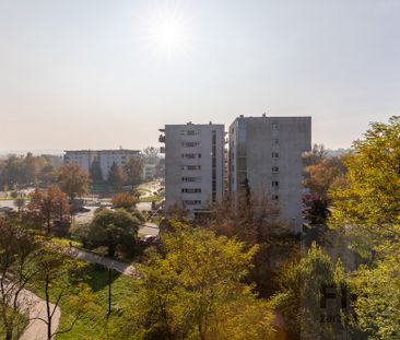 Kraków Kraków-Podgórze, ul. Odrzańska - Zdjęcie 1