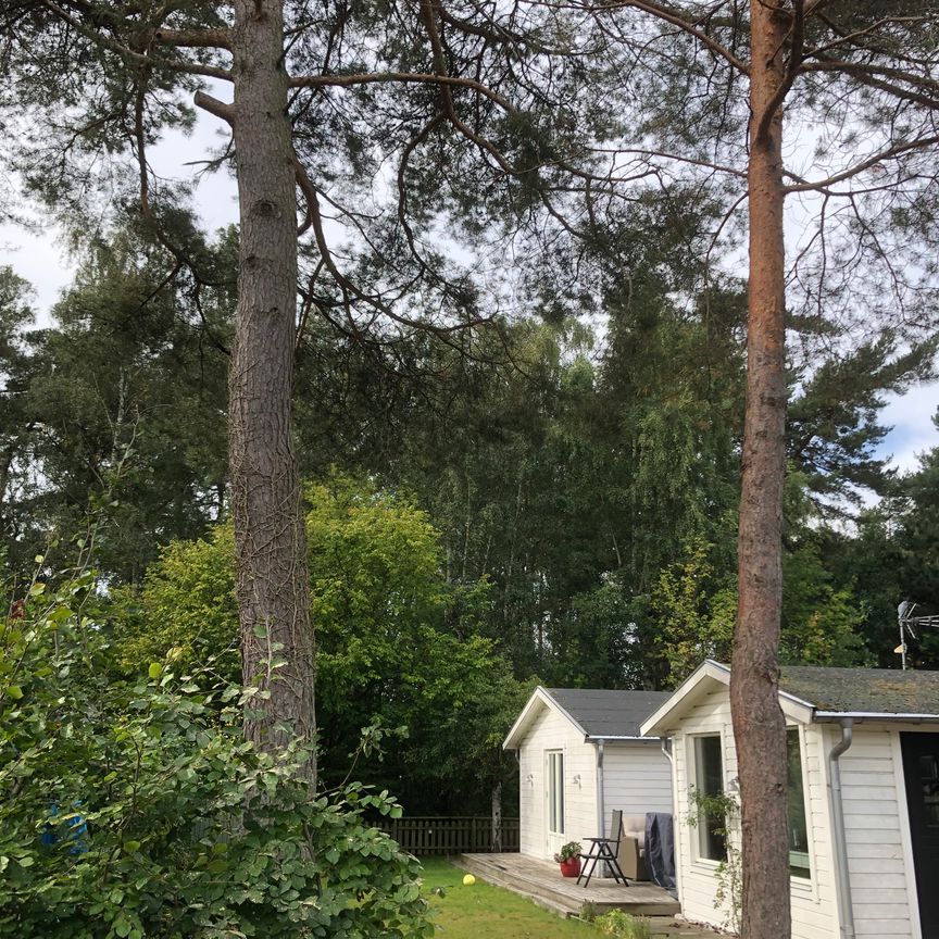 Fritidsvägen, Höllviken - Foto 1