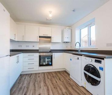 Acklam Gardens, Middlesbrough, TS5 - Photo 3