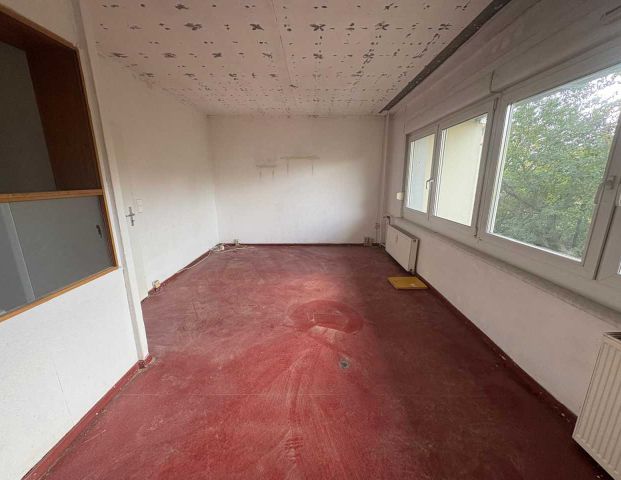 Schöne 3-Zimmer-Wohnung nach Renovierung bezugsfertig! - Foto 1