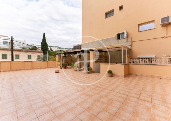 Apartment for rent in Palma de Mallorca