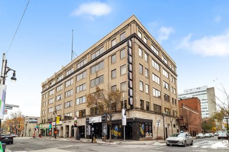 Appartement à louer - Montréal (Ville-Marie) (Centre) - Photo 2