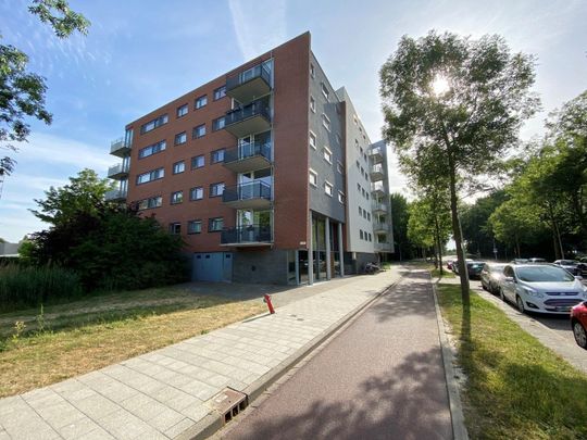 Te huur: Appartement Vijf Meilaan in Leiden - Foto 1