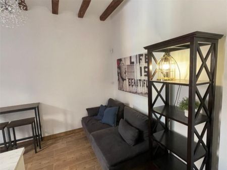 Piso de alquiler en Carrer D'alcanar, 19, La Barceloneta - Photo 3
