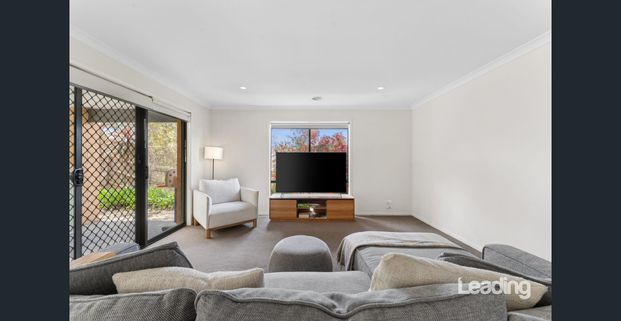 Warning: You May Fall in Love with Langport! - Photo 1