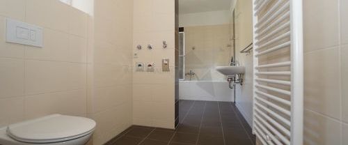 Zauberhafte Altbauwohnung mit hohen Decken und TOP saniertem Badezimmer in Zwickau - Foto 1