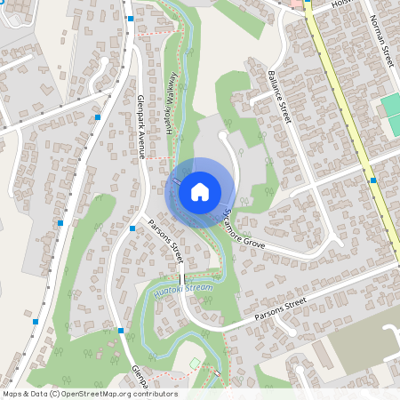 1/21B Sycamore Grove, Vogeltown