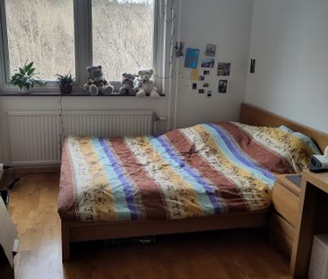 Rubingatan, Västra Frölunda - Photo 2