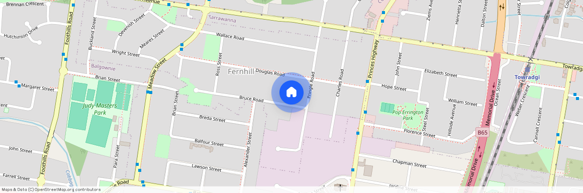 8 Bruce Street, Fernhill NSW 2519, Fernhill