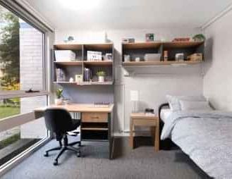 Single Room - Menzies College - Photo 1