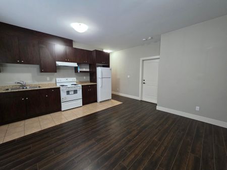 Centrally Located, Spacious Two Bedroom/One Bathroom Suite - Photo 4
