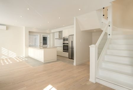 Maison à louer à Montréal (Ville-Marie) - Photo 3