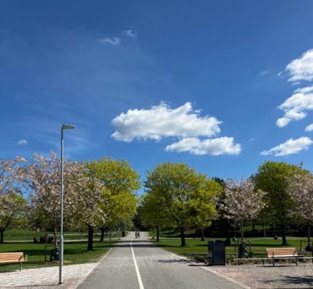 Bruno Liljeforsgatan 17, 75429, Uppsala - Photo 1