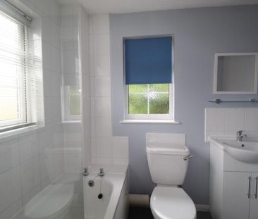 1 bedroom House To Let - Photo 3