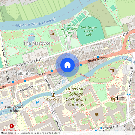 Western Rd, Mardyke, Cork, Ireland