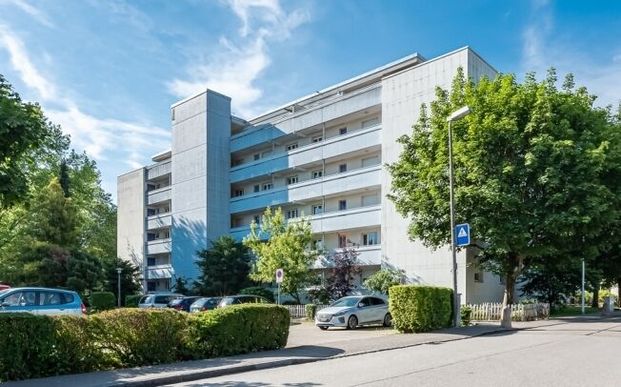 Live quietly in Reinach - SUMMER OFFER - Photo 1