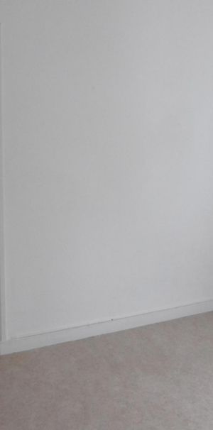 Location Appartement 1 pièce 22m² ST ETIENNE 42000 - Photo 1