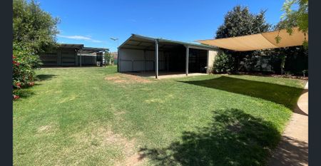 Back Yard for Days! - Photo 5