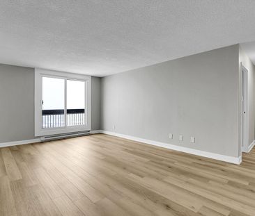 2935 Richmond Road, Ottawa, ON - Photo 4