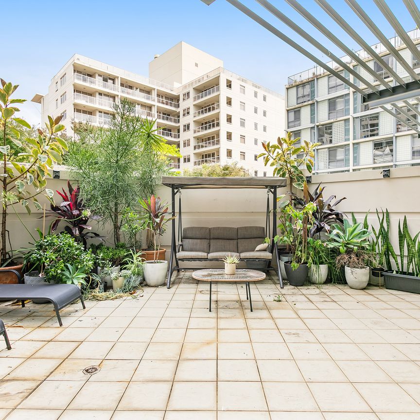 56/15 Potter Street, Waterloo NSW 2017 - Apartment For Rent | Domain - Photo 1