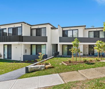 Brand New Furnished Studio Apartment - Utilities Included - Photo 2