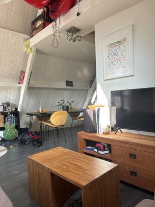 3-kamer appartement te huur in hartje Utrecht voor studenten - Photo 1