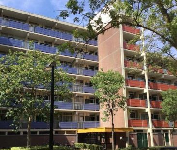 Appartement Muldersdreef 541, Apeldoorn Zuidoost - À louer - Foto 1