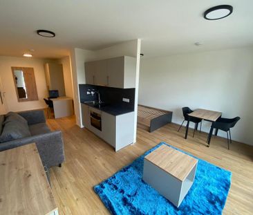 Möbilierte 1-Zimmer-Wohnung zum Erstbezug in Nürnberg Kohlenhof - Foto 1