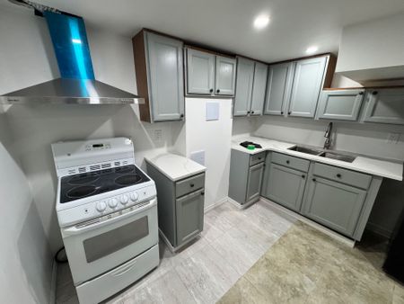 For Lease - 1395 Dougall Avenue Unit# Bsmnt, Windsor, Ontario - Photo 2