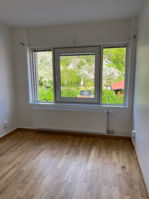 Norra Drottninggatan, Uddevalla - Foto 1