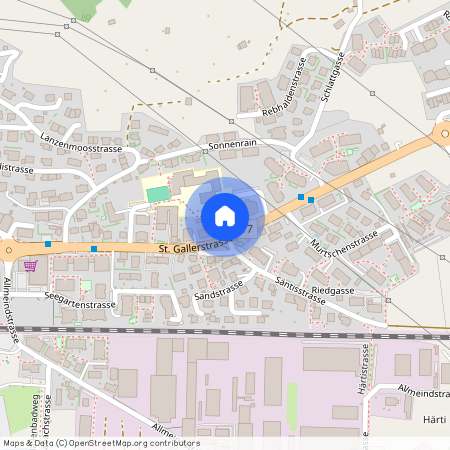 8716, Schmerikon, St. Gallerstrasse, 29